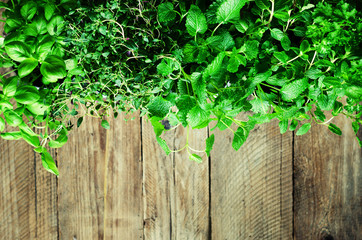 Obraz na płótnie Canvas Collection of fresh organic herbs (melissa, mint, thyme, basil, parsley) on wooden background. Banner. Copy space. Abstract spring or summer concept.