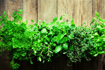 Abstract spring or summer concept. Organic herbs (melissa, mint, thyme, basil, parsley) on wooden background with sunlight and sunny leaks. Banner. Copyspace.
