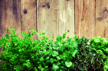 Collection of fresh organic herbs (melissa, mint, thyme, basil, parsley) on wooden background. Banner. Copy space. Abstract spring or summer concept.