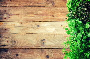 Fototapeta premium Abstract spring or summer concept. Organic herbs (melissa, mint, thyme, basil, parsley) on wooden background with sunlight and sunny leaks. Banner. Copyspace.