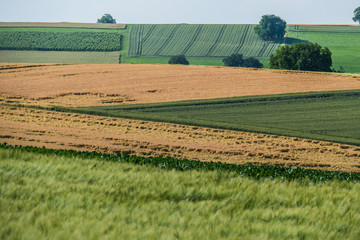 Ackerbau im Frühjahr