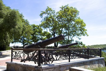 Guns like cannon