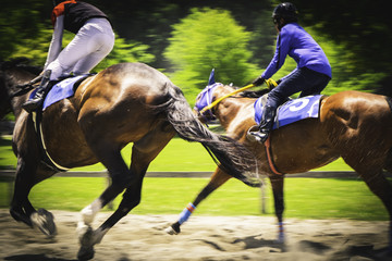 Japanese Keiba, horse ride