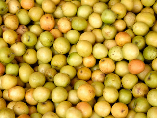 Indian plum or jujube (Ziziphus mauritiana) fruits for background and texture