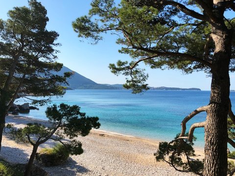 View of an empty sandy beach through the trees, Mlini, South Dalmatia, Dubrovnik riviera, Croatia