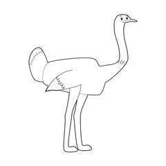 Easy Coloring Animals for Kids: Ostrich