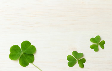 Clover background image