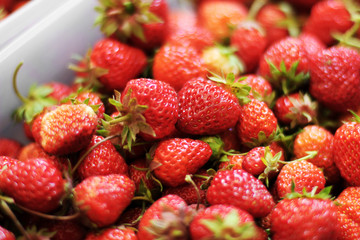 Strawberry. Strawberries in boxes.