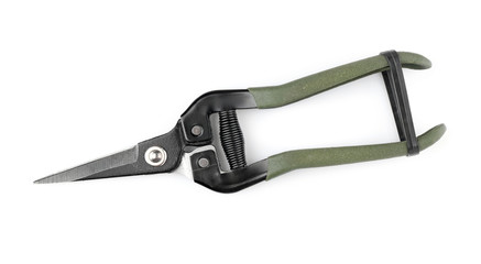 Garden pruner on white background