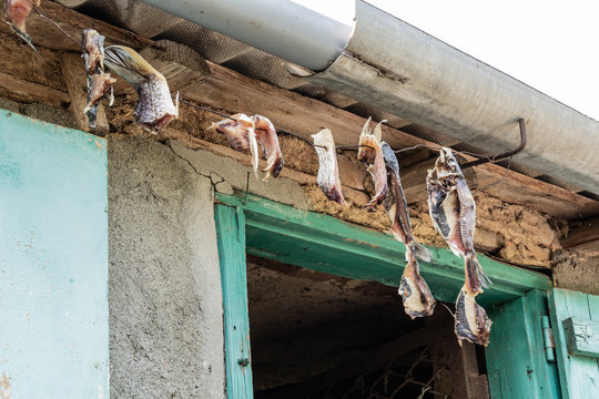 The fish dries in the sun. Dried fish.