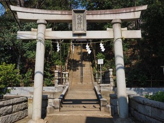 torii shinto shrine ate and stairs