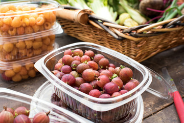 Container of fresh gooseberries