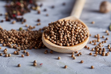 Coriander in wooden spoon with clipping path on white textured background, close-up, selective focus.