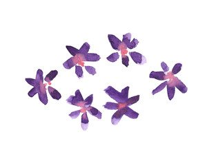 Set of six simple abstract purple and pink flowers painted in watercolor on clean white background