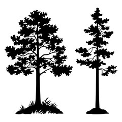 Landscape, Pine Trees Black Silhouette Isolated on White Background. Vector