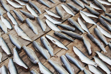 Fresh fish at fishermen village, Vietnam