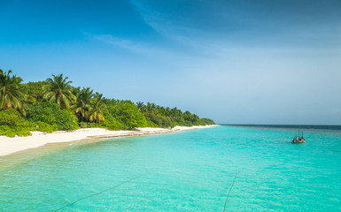 Fototapeta na wymiar Maldives, the perfect white beach, paradise