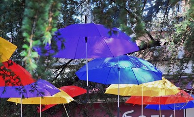 Bright colorful umbrellas weigh among the trees and decorate the street of the city.