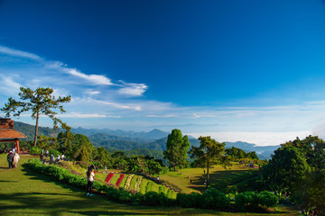 beautiful morning Huaynamdung National Park in Chiang mai Thailand Best Place To Relax Foe Life Morning Misty Sunrise Mountains