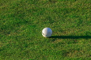 Golf ball on green grass in golf course