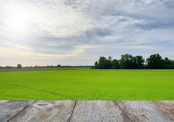 rice field and copyspace wood table