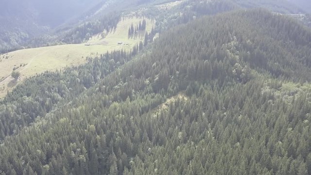 Aerial top view to summer carpathian forest and mountains near by Dzembronya village, Ukraine