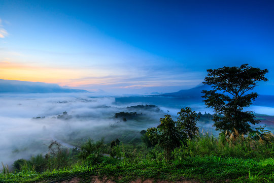Ta-Kian-Ngo, Landscape sea of mist on the mountain in Phetchabun province  Thailand.