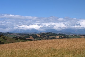 Fototapeta na wymiar Italy,Sibillini mountains,hill,crops,cereals,landscape,countryside,sky,clouds,horizon