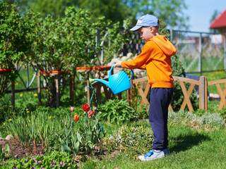 Caucasian boy watering flowers at a household plot.