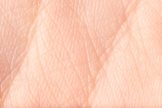 Texture of human skin, closeup