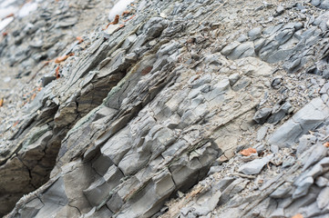 rocks and stones of the sea coast