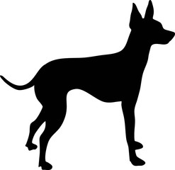 English toy terrier silhouette black