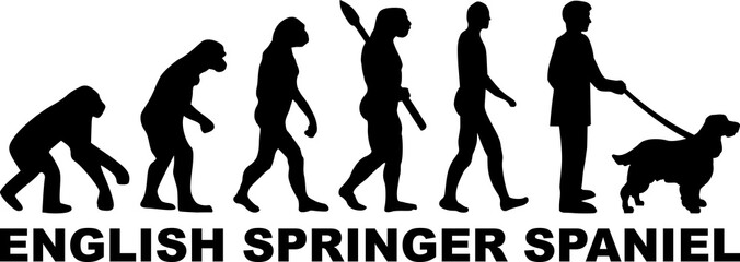 English Springer Spaniel evolution word