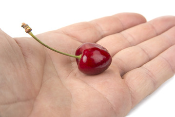 Sweet red cherry on the white background