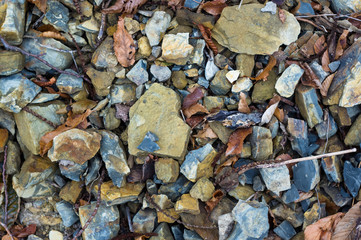 rocks and stones of the sea coast