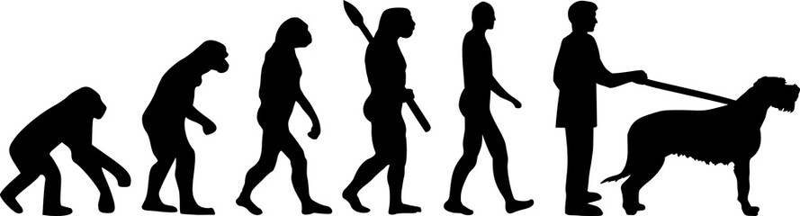 Irish Wolfhound evolution