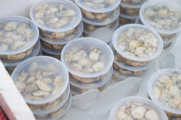 Fresh oyster in the plastic box