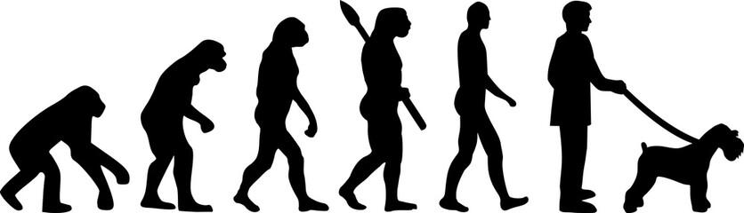 Miniature Schnauzer evolution