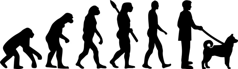 Obraz premium Norwegian Elkhound evolution