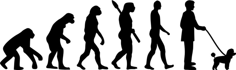 Toy poodle evolution