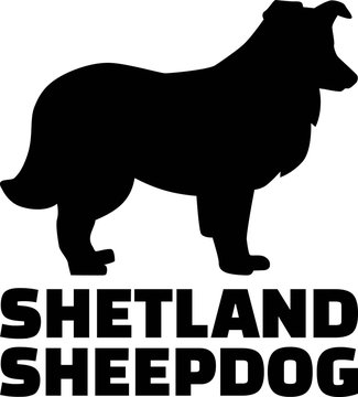 Shetland Sheepdog Silhouette Real Word