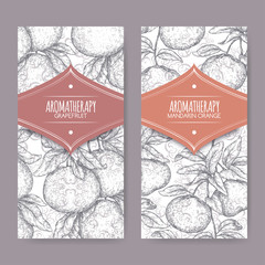 Two labels with citrus paradisi aka grapefruit and citrus reticulata aka mandarin sketch on elegant lace background.