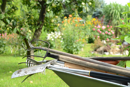 Garten 817