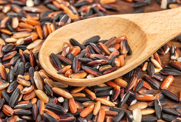 Wild rice in spoon