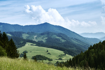 Fototapeta premium Piękny słoneczny krajobraz ze wzgórzami, lasami i łąkami na Słowacji