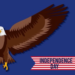 independence day america half eagle flag usa vector illustration