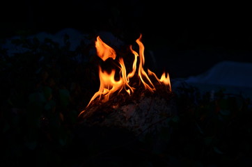 Burning bonfire in the night.