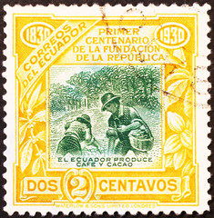 Coffee & cocoa production in ecuadorian stamp of 1930