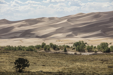 Obraz premium Giant Desert Dunes