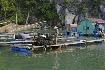 Fototapeta na wymiar Traditional fishing boat in Vietnam